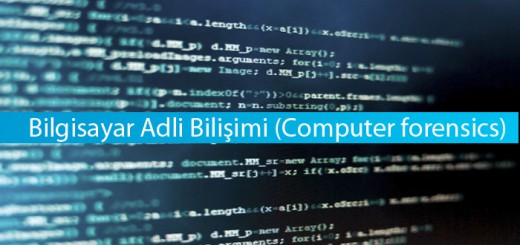 adli_blisim