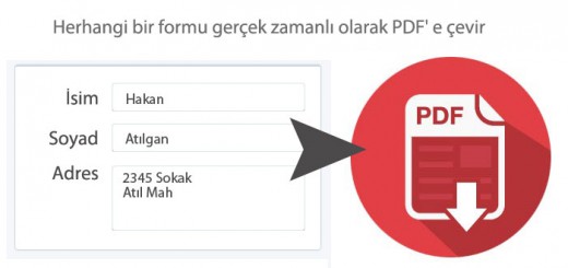 pdfcevir