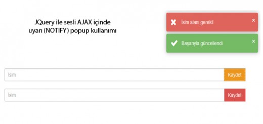 uyari